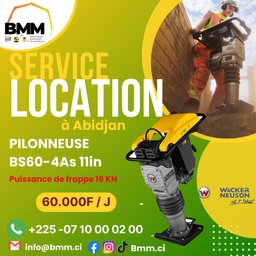 [BS60-4AS 11 IN LOXAN (JAUNE)] LOCATION /PILONNEUSE